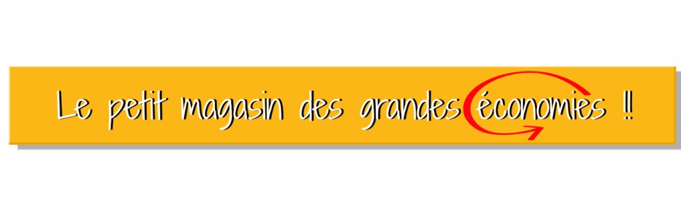 Le petit magasin des grandes economies-2
