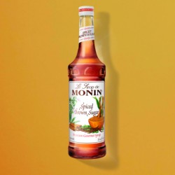 Sirop Monin Sucre Brun Épicé 1Litre