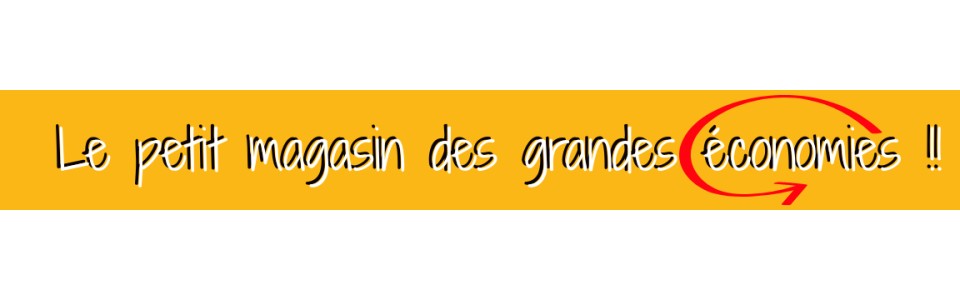 Le petit magasin des grandes économies